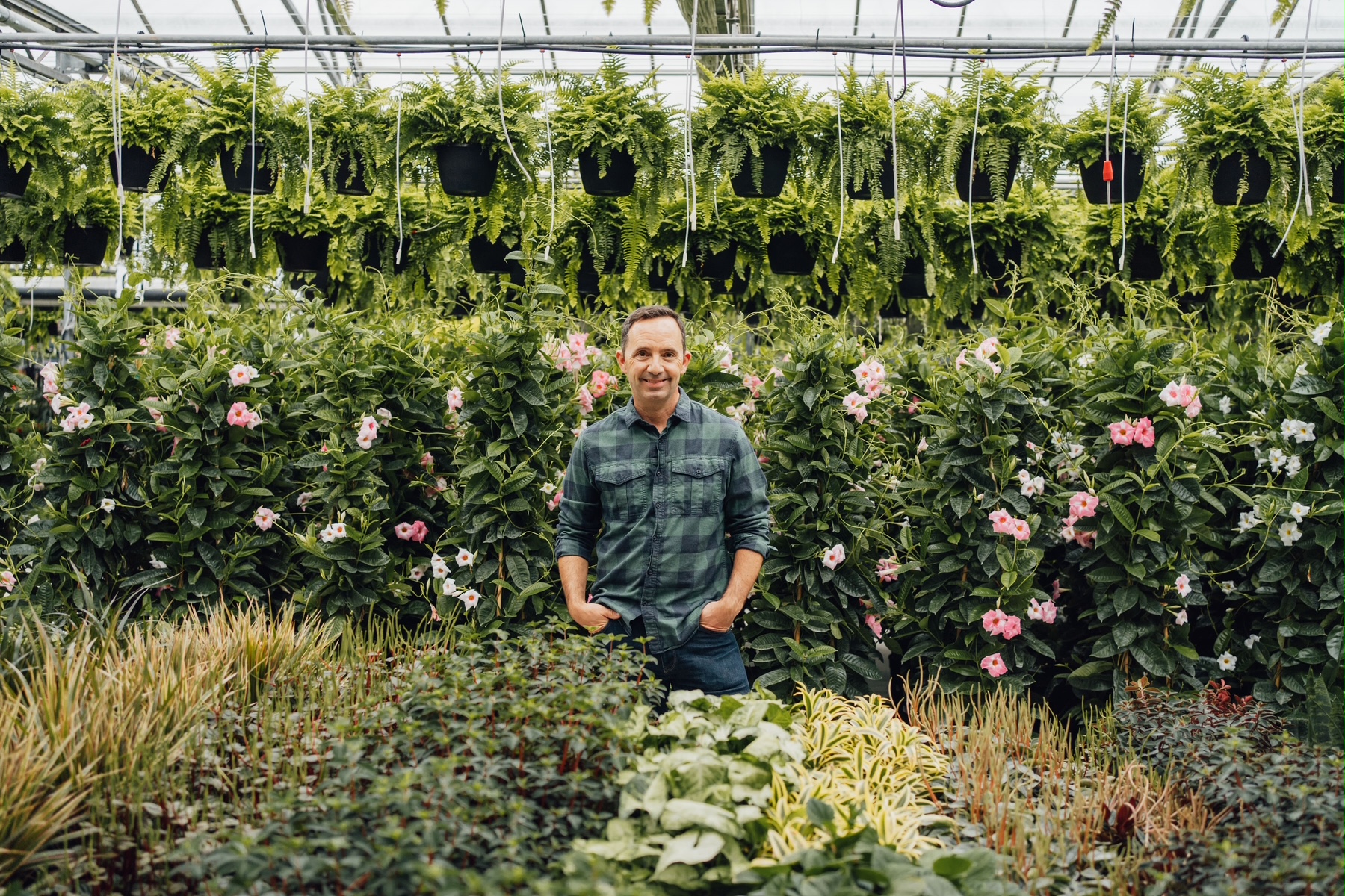 Frank Ferragine - Frankie Flowers