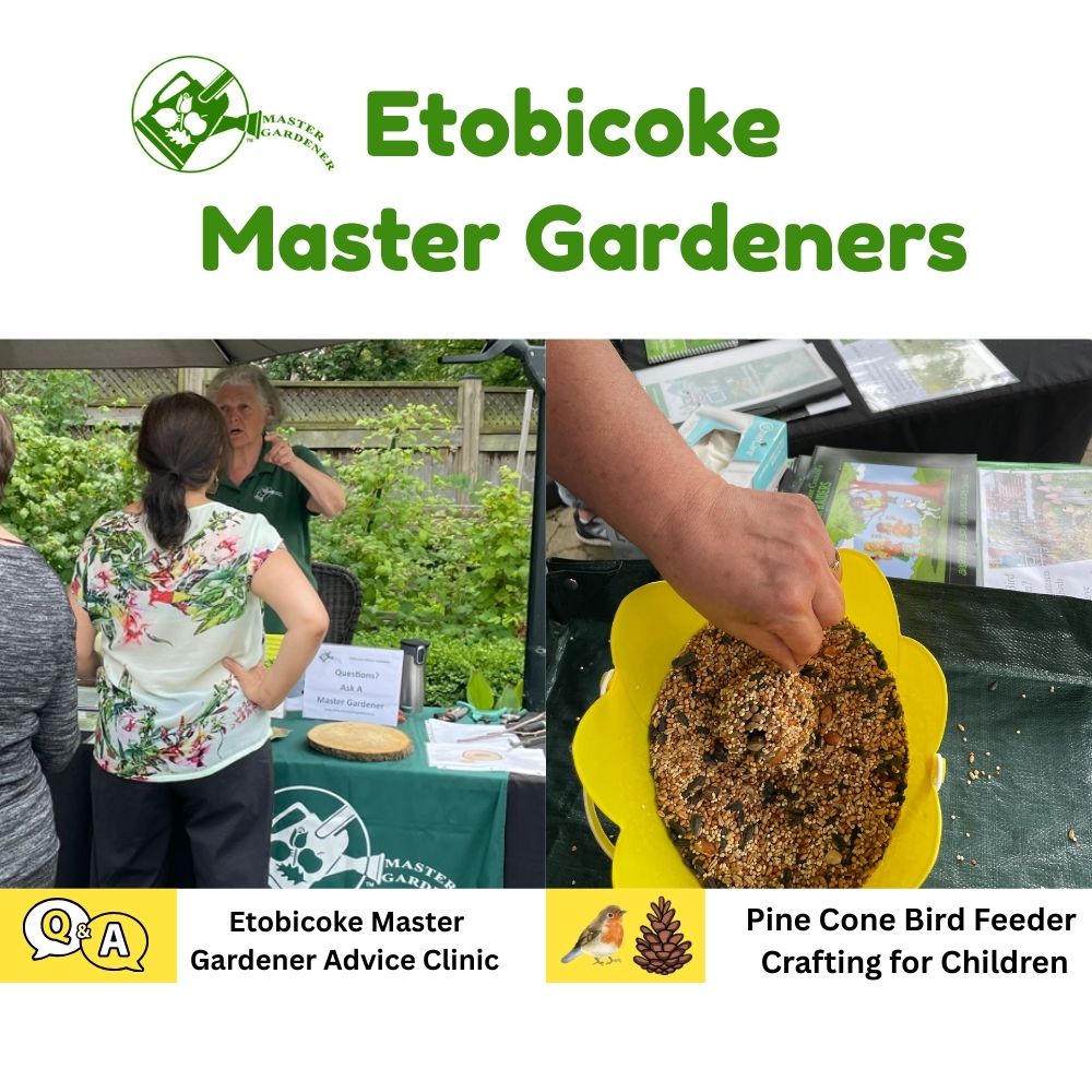 Master Gardeners