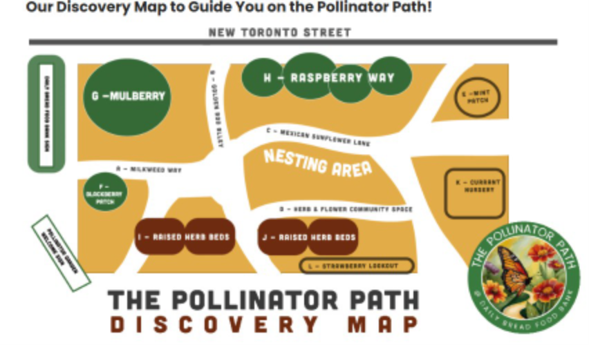The Pollinator Path